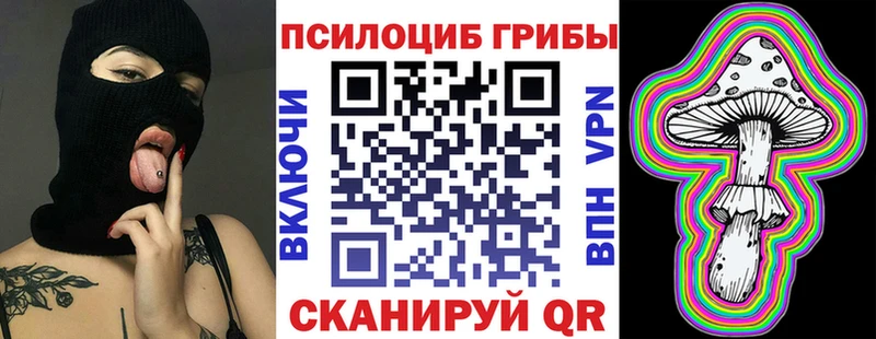 купить цена Нолинск blacksprut рабочий сайт Псилоцибиновые грибы Magic Shrooms